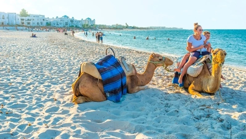 نابل - الحمامات..   حركية سياحية ممتازة وتوافد 657 ألف  سائح الى حدود   20 سبتمبر 2023